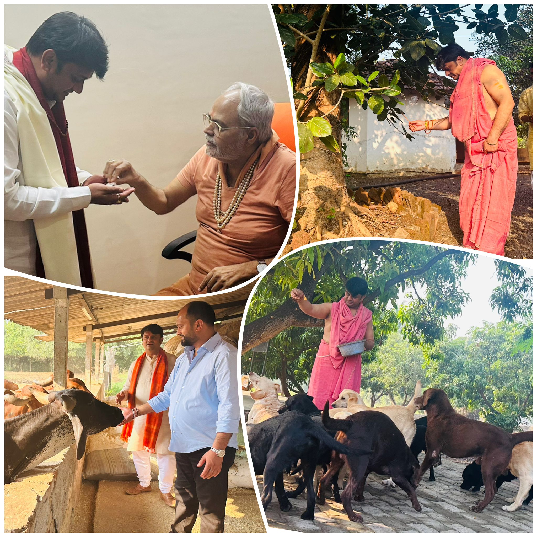 Seeking blessings from Shiv Pooja, Havan, and Gau seva