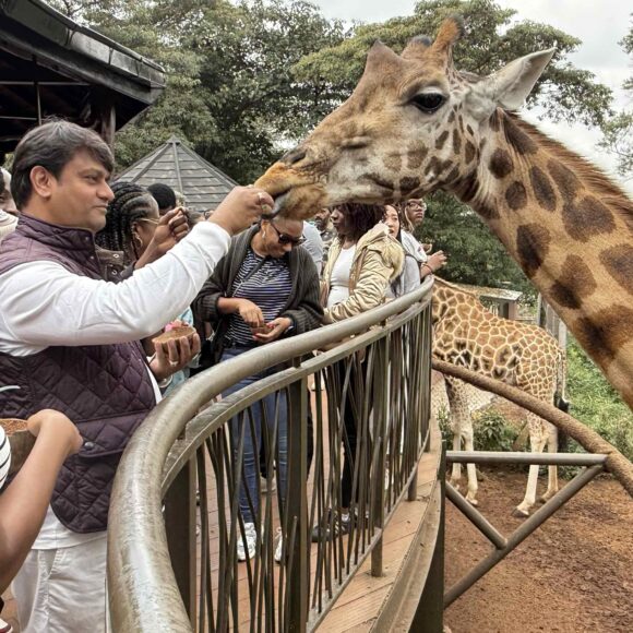 The Sacred Companions: Why Animals, Especially Dogs, Hold Deep Significance in Hindu Culture