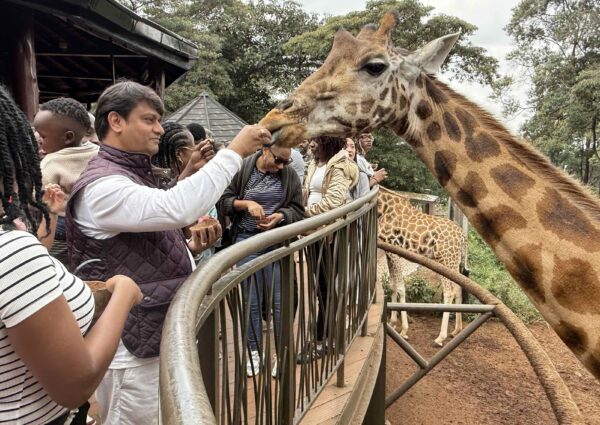 The Sacred Companions: Why Animals, Especially Dogs, Hold Deep Significance in Hindu Culture
