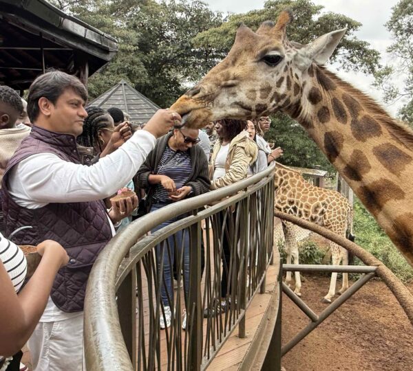 The Sacred Companions: Why Animals, Especially Dogs, Hold Deep Significance in Hindu Culture