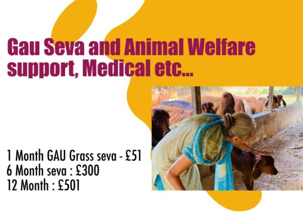 Animal Welfare in London